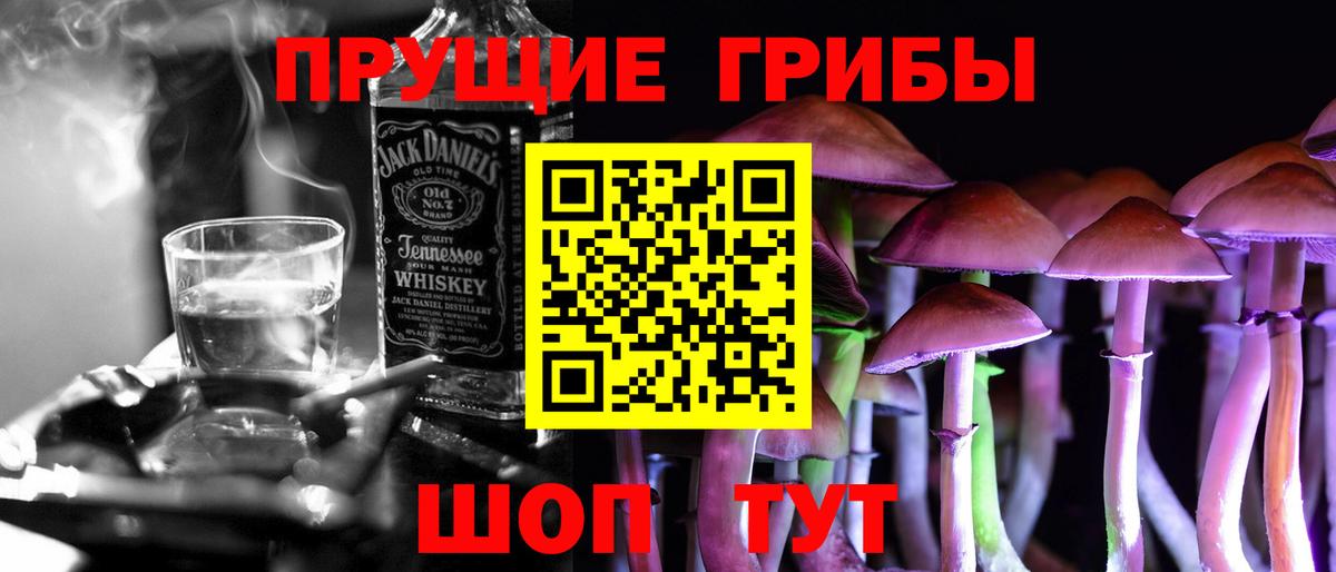 Псилоцибиновые грибы Psilocybe  Вход с VPN  купить закладку  Майкоп 