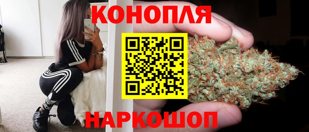 Бошки Шишки план  Вход с VPN  Канабис марихуана  Майкоп 